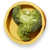 Een bakje met broccoli