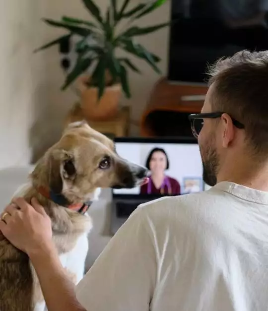A dog and their pet parent in front of a laptop displaying Butternut's Speak To A Pro service.