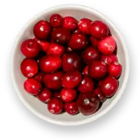 Een bakje cranberry's
