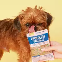 A dog licking a Chicken You Out pouch
