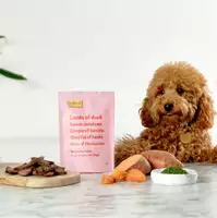 Een hond naast een zak met eendentreats en ingrediënten