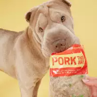 A dog with a Pork This Way pouch