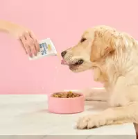 A golden retriever drinking Bish Bash Broth with their Butternut meal