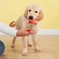 A labrador licking a Beef It Up pouch