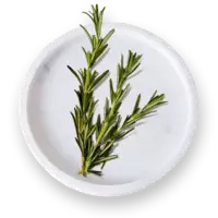 A plate of rosemary