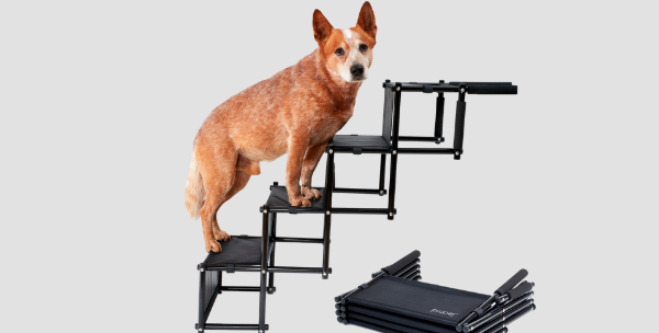 PiuPet dog steps