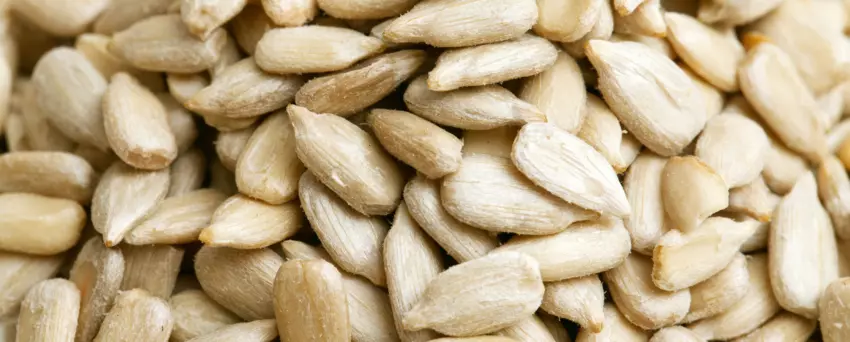 Zbliżenie na łuskane nasiona słonecznika.