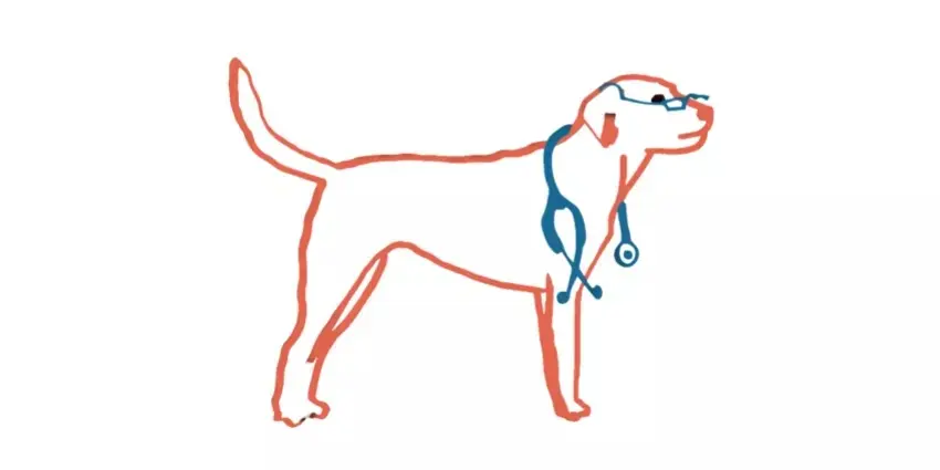  Gerne, hier ist eine kurze und literale Beschreibung des Bildes:  Eine einfache Strichzeichnung eines Hundes, konturiert in Rot-Orange. Der Hund trägt eine blaue Brille auf der Nase und ein blaues Stethoskop hängt um seinen Hals, was ihn als "Doktorhund" kennzeichnet. Der Hintergrund ist weiß.