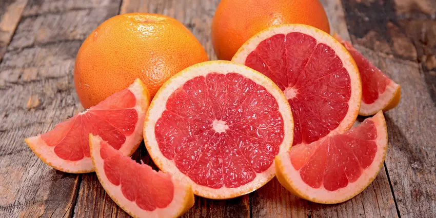 Can Dogs Eat Grapefruit?