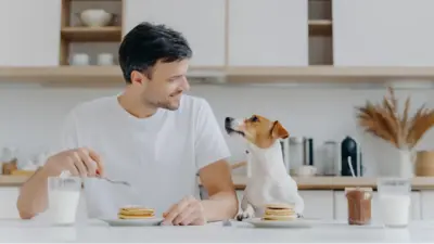 Dog-Friendly Pancakes