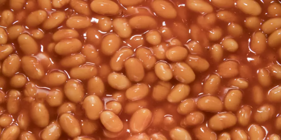 Can Dogs Eat Baked Beans?
