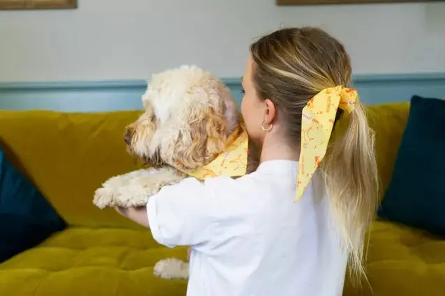 Hund und Besitzerin drehen sich mit dem Rücken zur Kamera und schauen auf ein gelbes Sofa 