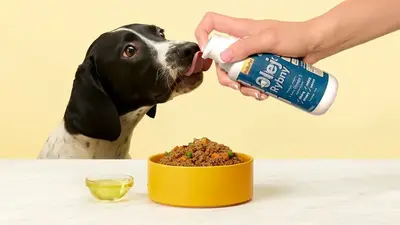 Pes olizuje láhev rybího oleje.