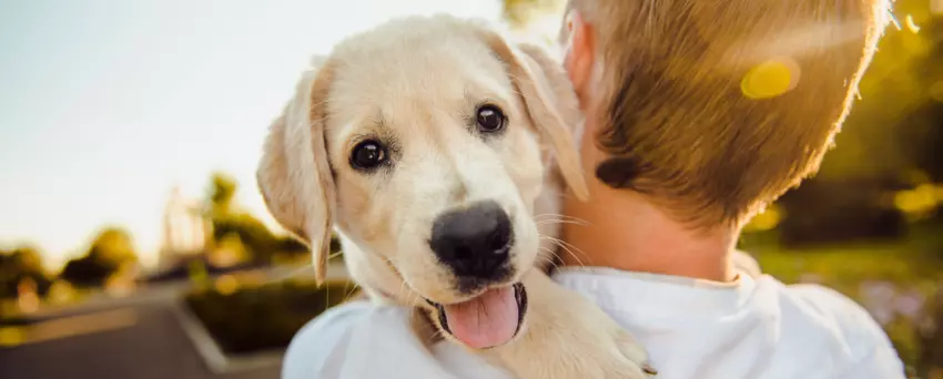 karmienie szczeniaka