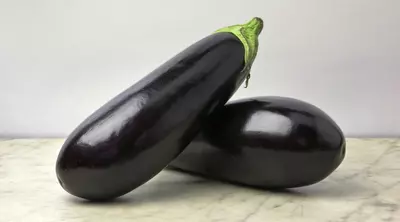 Can Dogs Eat Aubergine?