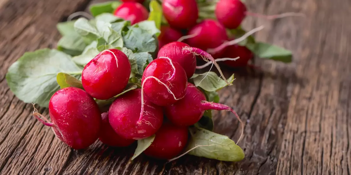 Can Dogs Eat Radishes