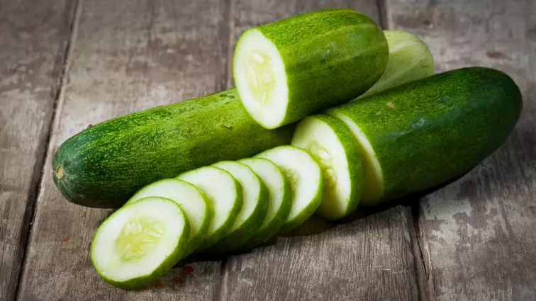 Cucumber for dogs