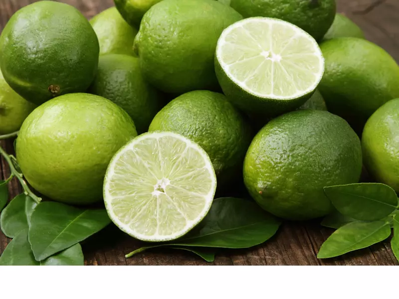 Can Dogs Eat Limes?