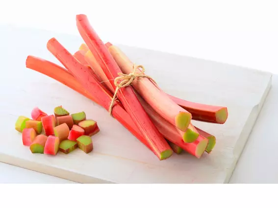 Can Dogs Eat Rhubarb?