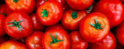 Czerwone, dojrzałe pomidory ułożone obok siebie.