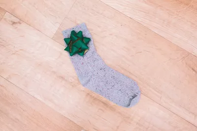 Sock present for dog