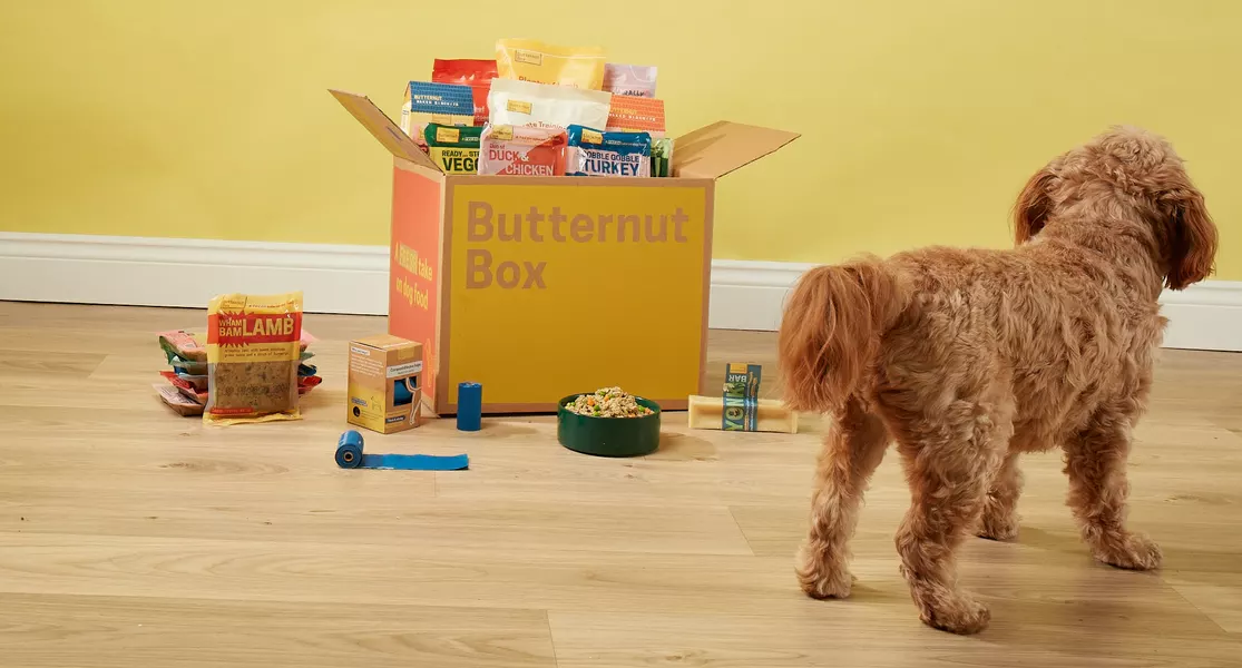 Butternut Box and dog