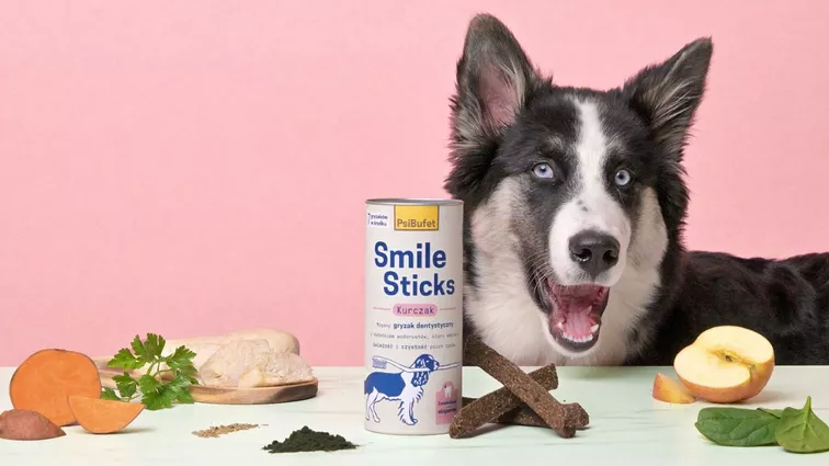 Pies rasy łajka jakucka na różowym tle stoi przy stole, na którym leżą: opakowanie gryzaków Smile Sticks marki PsiBufet, słodki ziemniak, natka pietruszki, surowe mięso kurczaka, jabłko i szpinak.