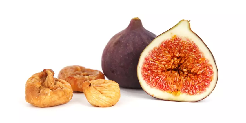 Can Dogs Eat Figs?