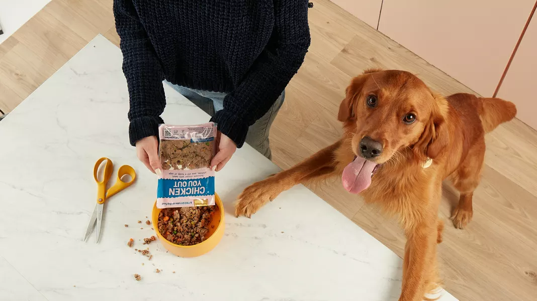 Die besten Möglichkeiten, Butternutt Box Mahlzeiten zu servieren