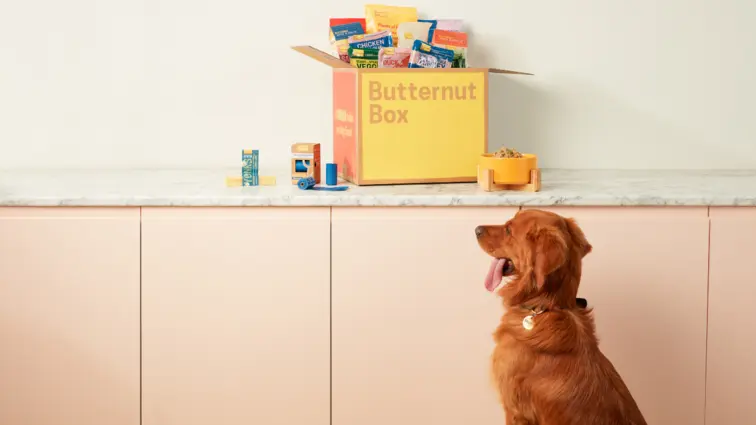 Co pet parenting geluk