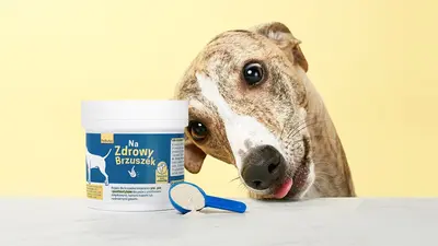 Pies w typie charta zagląda zza opakowania suplementu Na Zdrowy Brzuszek; obok leży niebieska miarka z proszkiem.