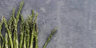 Can Dogs Eat Asparagus?