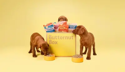 Fresh dog food for all lifestages