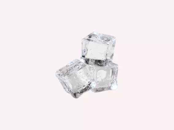 Ice cubes for dogs