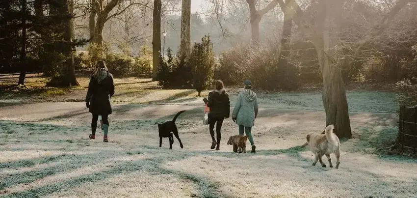Hunde und ihre Besitzer bei einem Spaziergang an einem sonnigen, frostigen Wintermorgen im Park