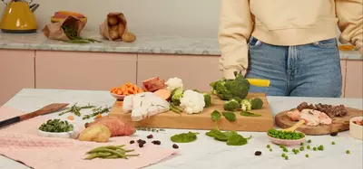 Vegetables in dog food