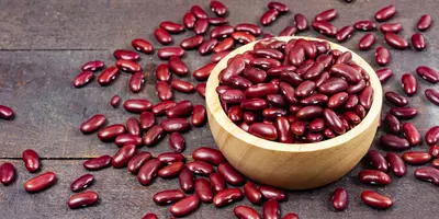 Can Dogs Eat Kidney Beans?
