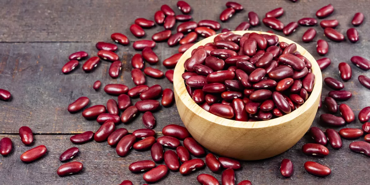 Can Dogs Eat Kidney Beans?