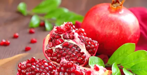 Can Dogs Eat Pomegranate?