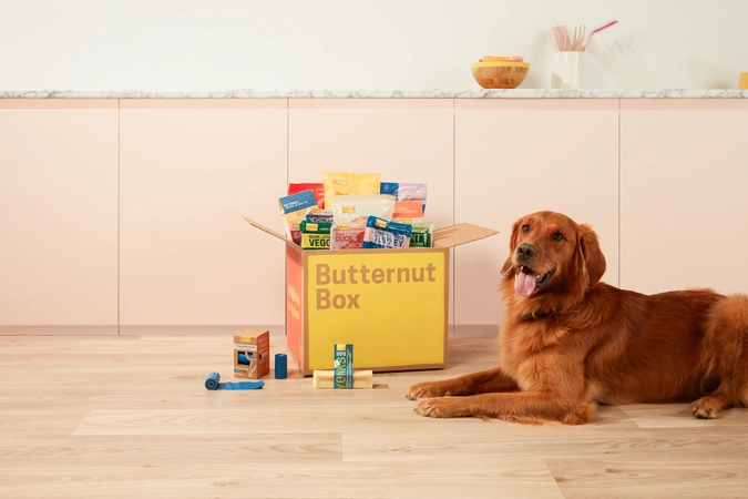 Butternut Box food, treats and dog