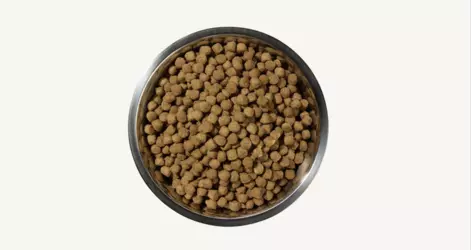 Dry dog food, aka kibble, is made through a process of extrusion. Meat, grains and other fillers are cooked at high temperatures to resemble brown balls.