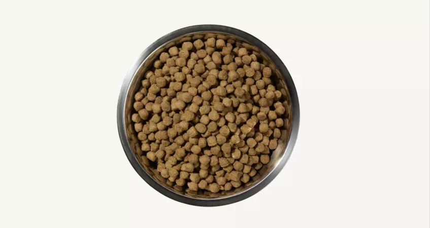 Dry dog food, aka kibble, is made through a process of extrusion. Meat, grains and other fillers are cooked at high temperatures to resemble brown balls.