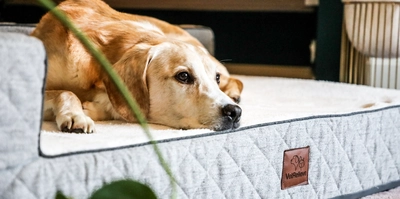 Vet Relieve Orthopaedic Dog Beds