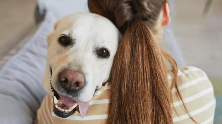 Dog and human cuddling