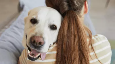 Dog and human cuddling