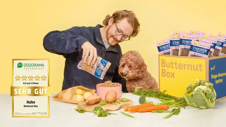 Butternut Box Dogorama Banner