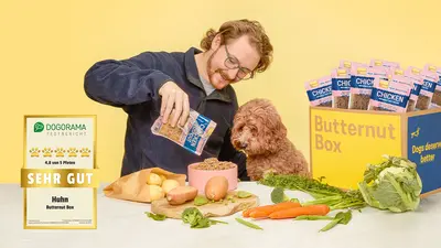 Butternut Box Dogorama Banner