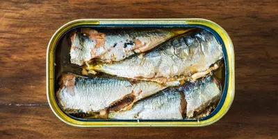 Can Dogs Eat Sardines?