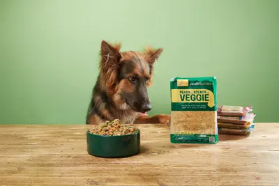 Ein Deutscher Schäferhund schaut aufmerksam auf eine Schüssel mit Futter und eine Packung "Ready Steady Veggie" Hundefutter auf einem Holztisch vor grünem Hintergrund.